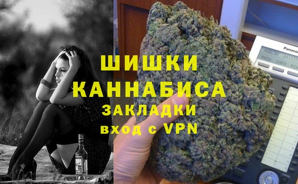 сатива Аркадак