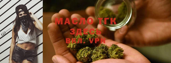 сатива Аркадак