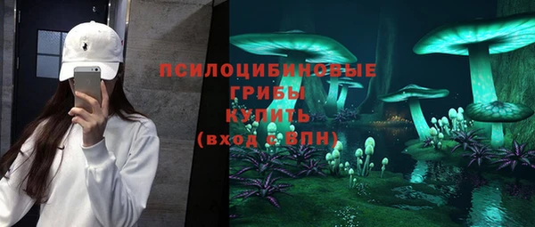 сатива Аркадак
