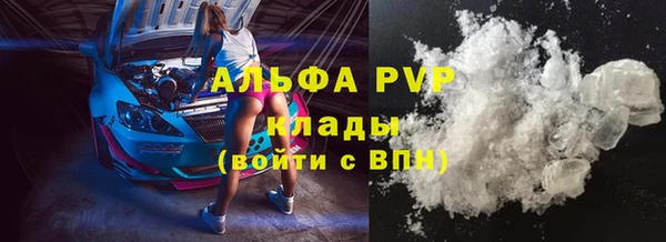 сатива Аркадак
