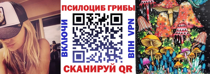 цены   Макаров  Галлюциногенные грибы мицелий 